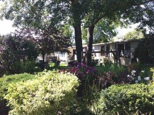 MVM-Resort-Home-pics-240  